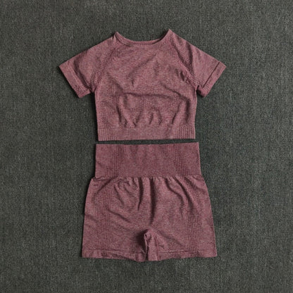 Seamless Women Yoga Set Crop Top