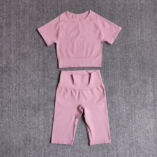 Seamless Set Women 2pcs Crop Top Workout